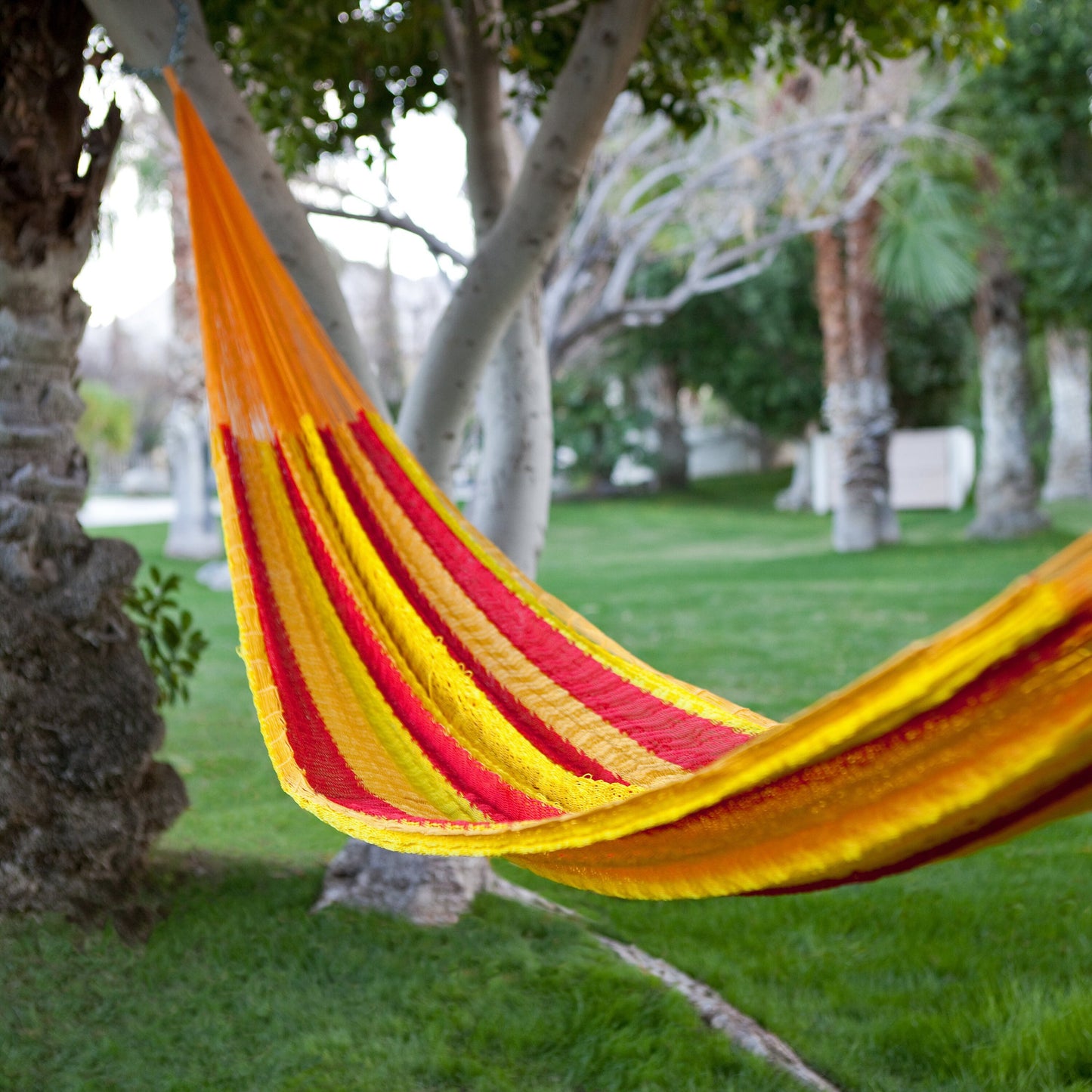 Vibrant Mayan Hammock - Lightweight, Double, Handmade Ultra-Comfy for Outdoor Bliss & Relaxation